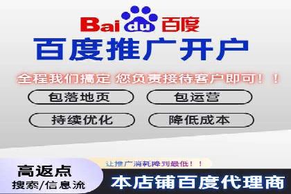 SEM优化策略：打造高效广告投放案例